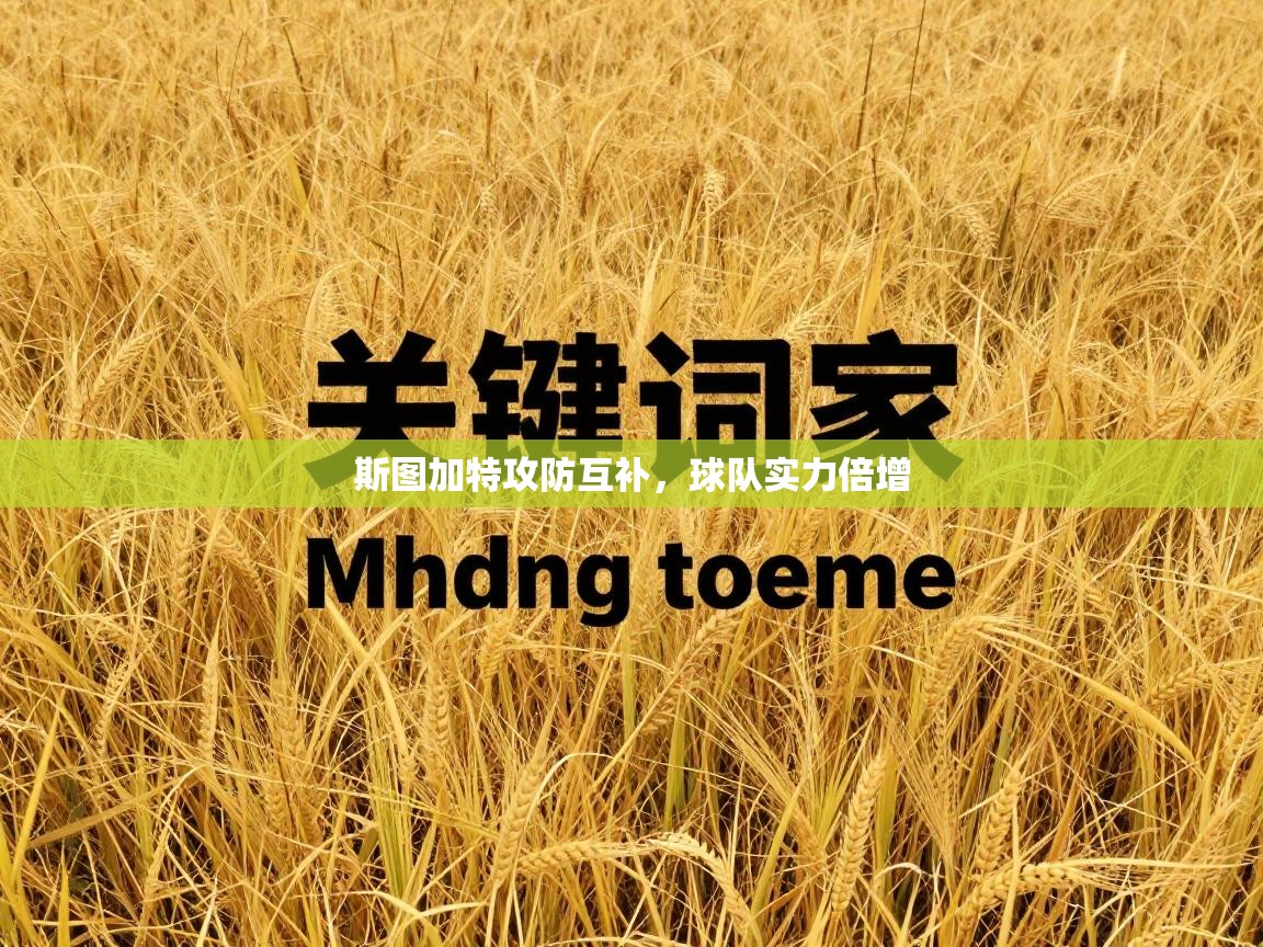 斯图加特攻防互补,球队实力倍增 第2张